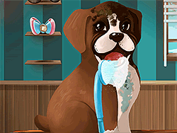 Become a Puppy Groomer