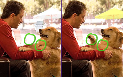 Scott Baio Photo Hunt