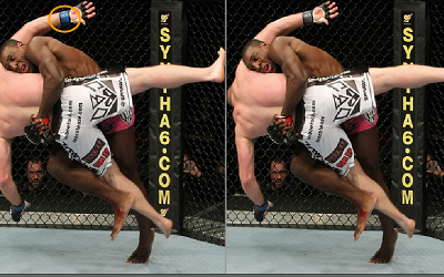 Ultimate Fighting Differences